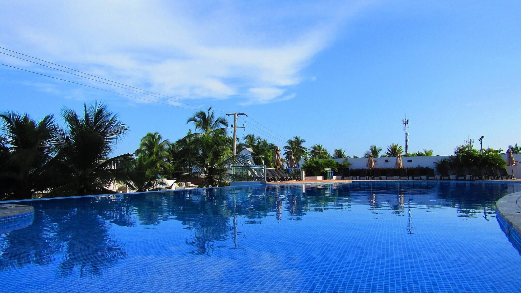 A clear blue swimming pool surrounded by palm trees and a white building with a flat roof.