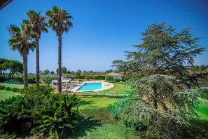 Piscina cercada por palmeiras e vegetação variada.