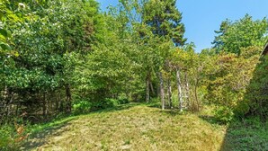 A natural outdoor area with a grassy path surrounded by dense trees. - 5BR Home Quietside of MDI - Sleeps 23! [Headlands] (Tremont)