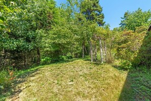 A natural outdoor area with a grassy path surrounded by dense trees.