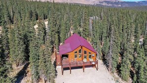 Un lodge dal tetto rosso, circondato da un bosco fitto e montagne sullo sfondo.