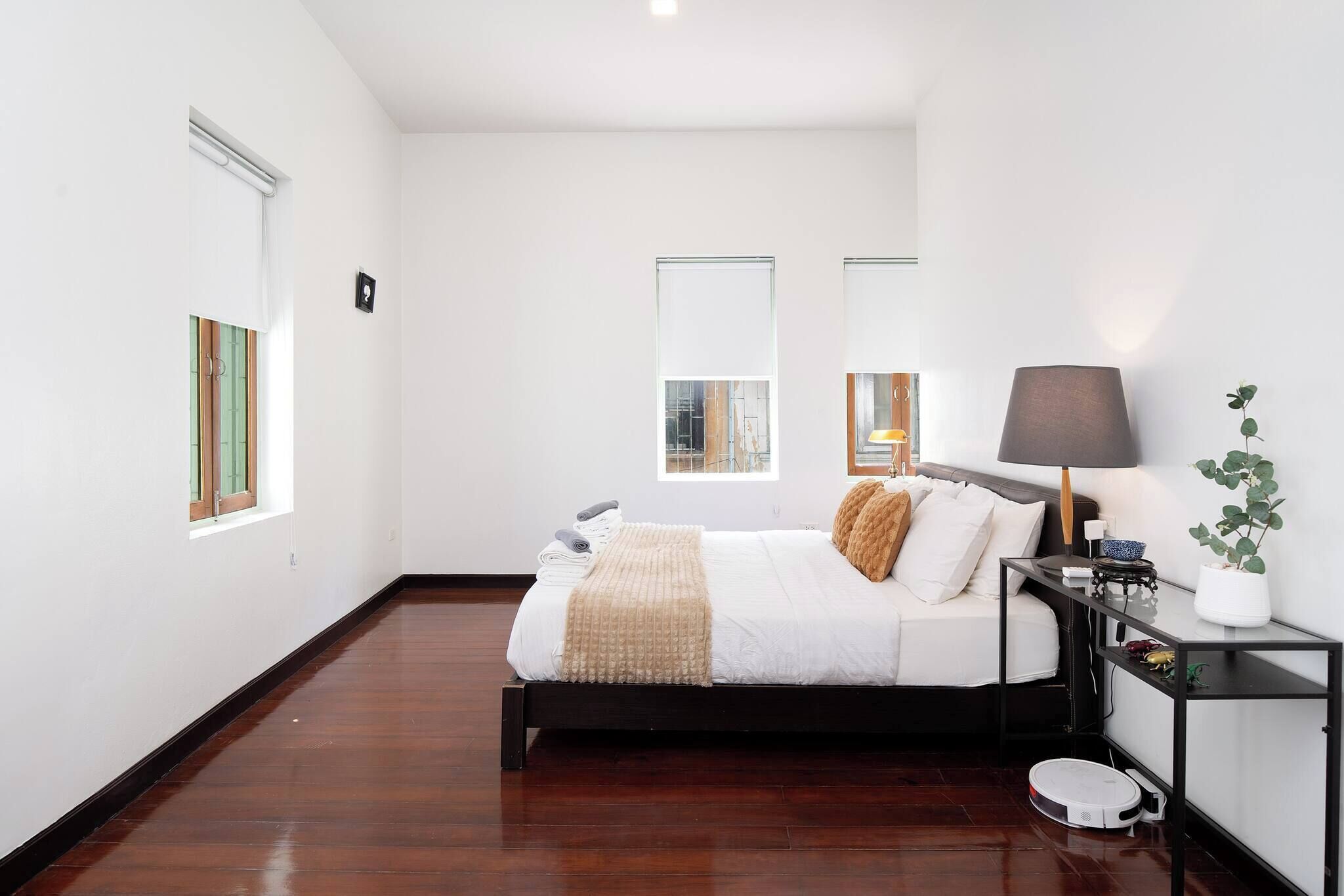 A modern bedroom with a bed, bedside table, lamp, and a potted plant.