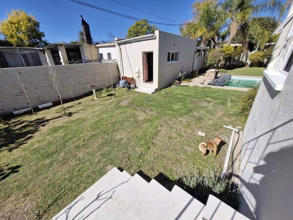 A residential backyard with a small house, a swimming pool, and a dog.