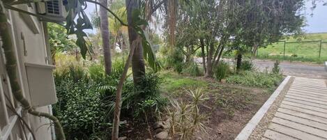 A landscaped garden with a variety of plants and trees, a pathway, and a building with a white exterior.