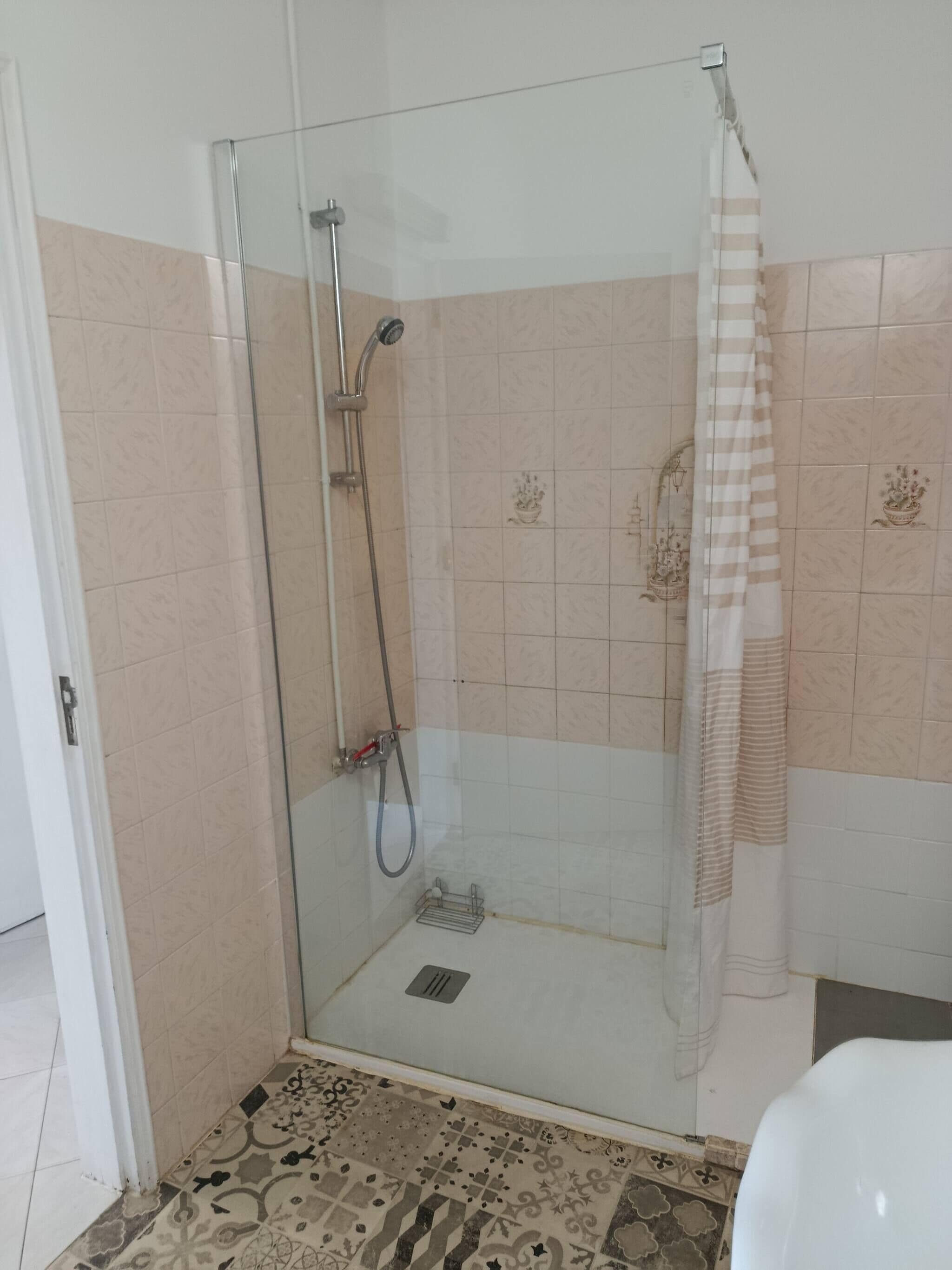 A glass-enclosed shower area with a showerhead and handheld shower attachment, a tiled floor with a decorative pattern, and a white toilet visible to the right.