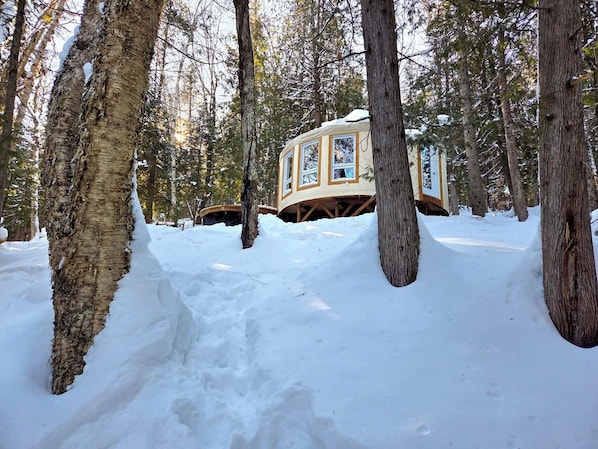 A treehouse cabin in a snowy forest.
