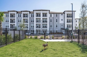 A multi-story residential building with a fenced courtyard, a dog, and a bench. - Landing | Modern 1BD, Pool, Gym (Port Charlotte)
