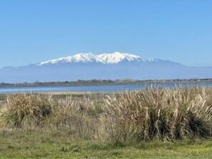 Ein Gebirgszug mit schneebedeckten Gipfeln im Hintergrund, ein Gewässer im Vordergrund und ein Feld mit hohem Gras.