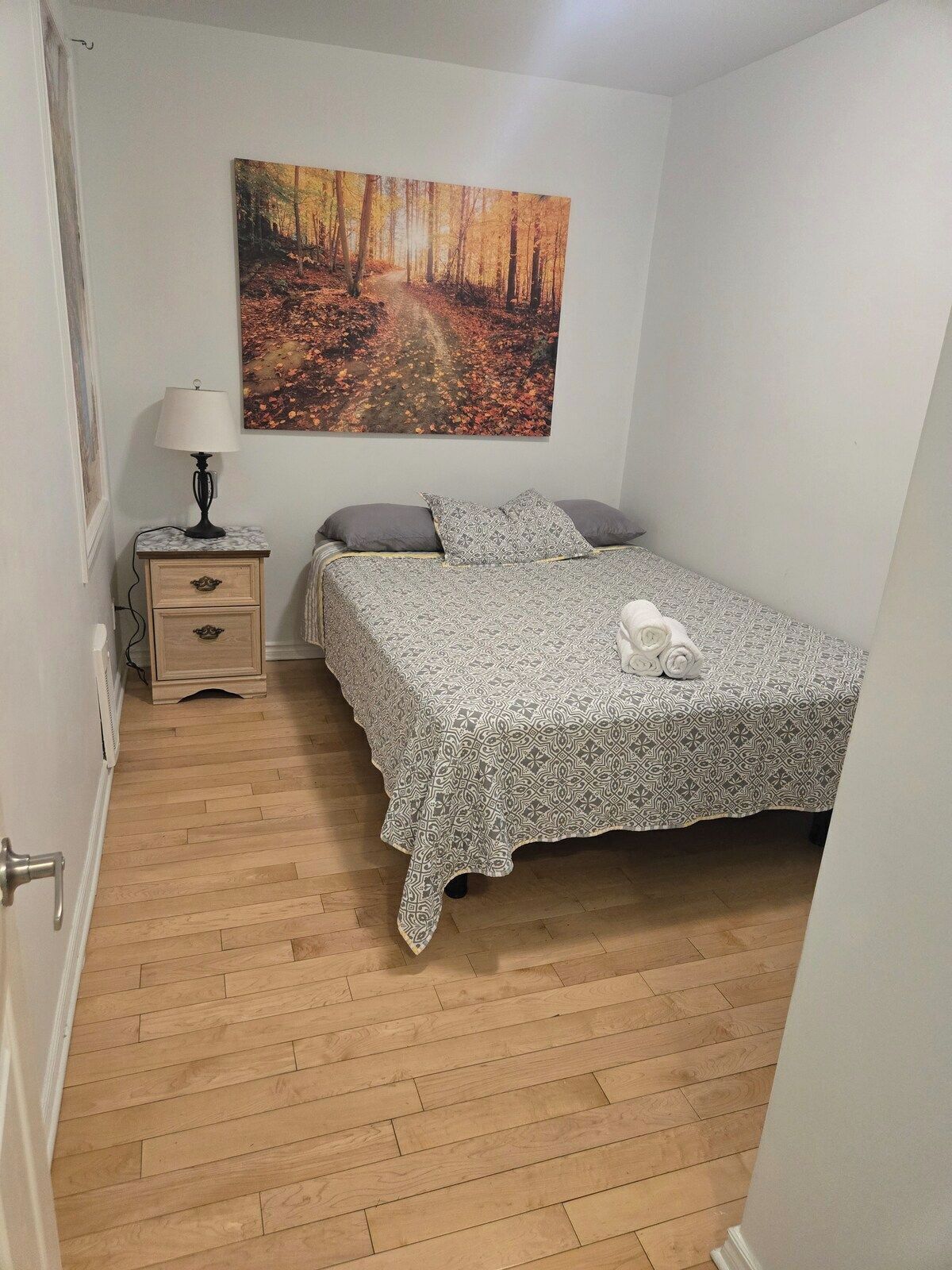 Iron/ironing board, WiFi (free), bed sheets