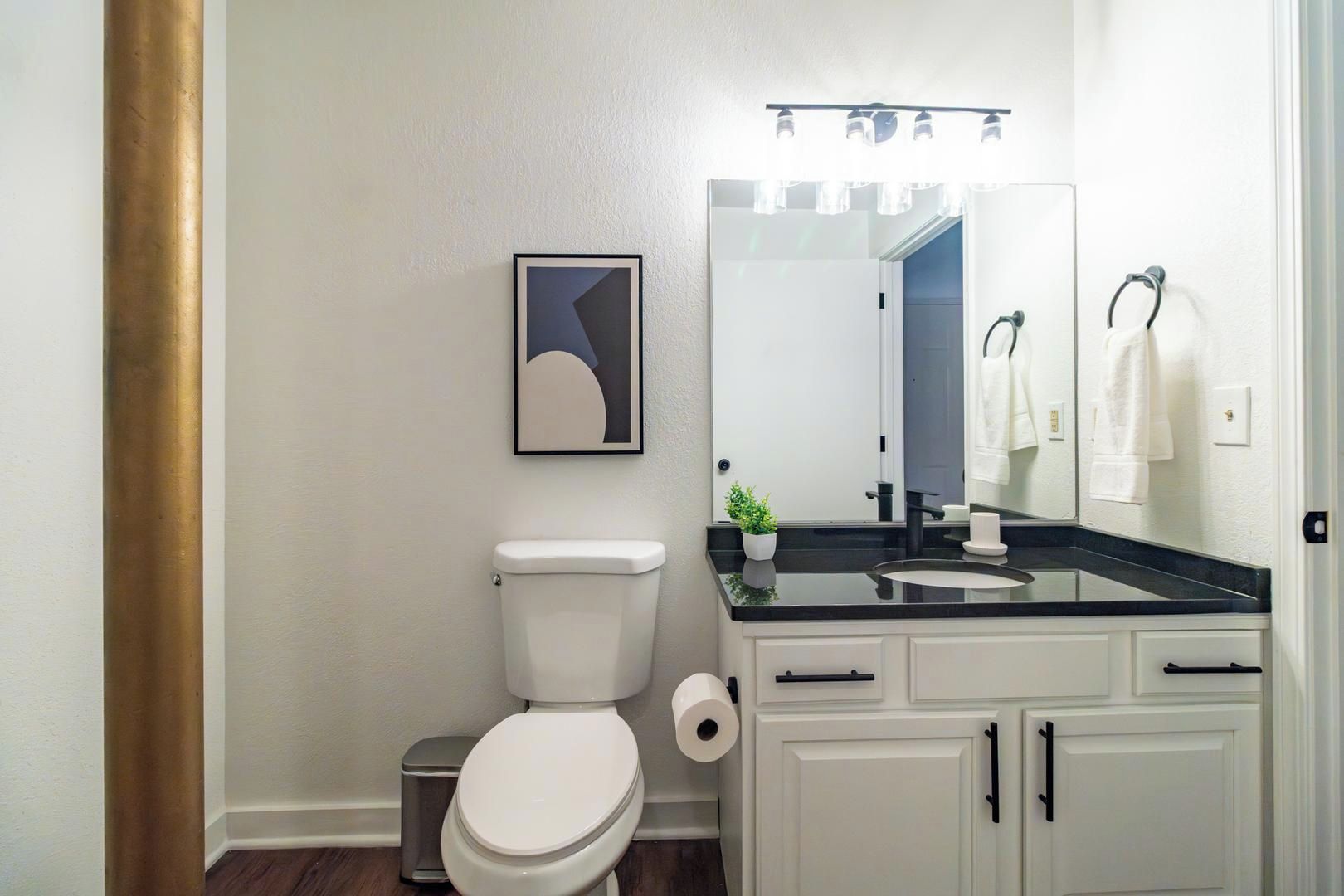 A bathroom with a toilet, sink, mirror, and a framed picture on the wall.