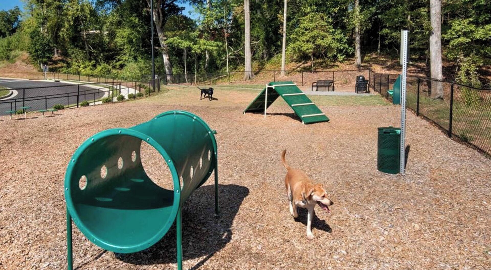 Children's area