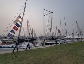 A marina with multiple boats docked, a pedestrian walkway, and a grassy area.