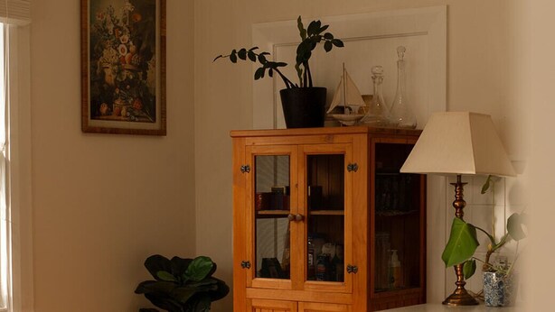 Una cocina con una isla central, armarios de madera y una planta en maceta.