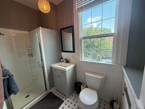 A bathroom with a glass shower enclosure, a sink with a mirror above it, and a toilet. - Historic 1 Bedroom Apartment in Marigny Neighborhood next to French Quarter (New Orleans)