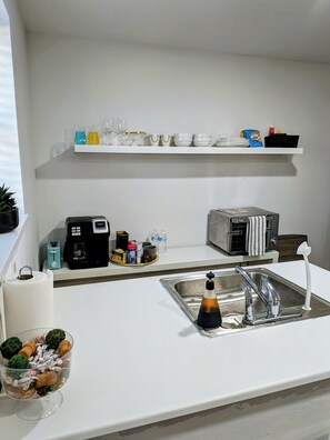 A modern kitchen with white countertops, a stainless steel sink, a coffee maker, a toaster, and a small potted plant. - Gorgeous Garden Level Retreat, Close to All! (Charlotte)