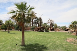 Un espacio al aire libre con césped, palmeras y una construcción con techo.