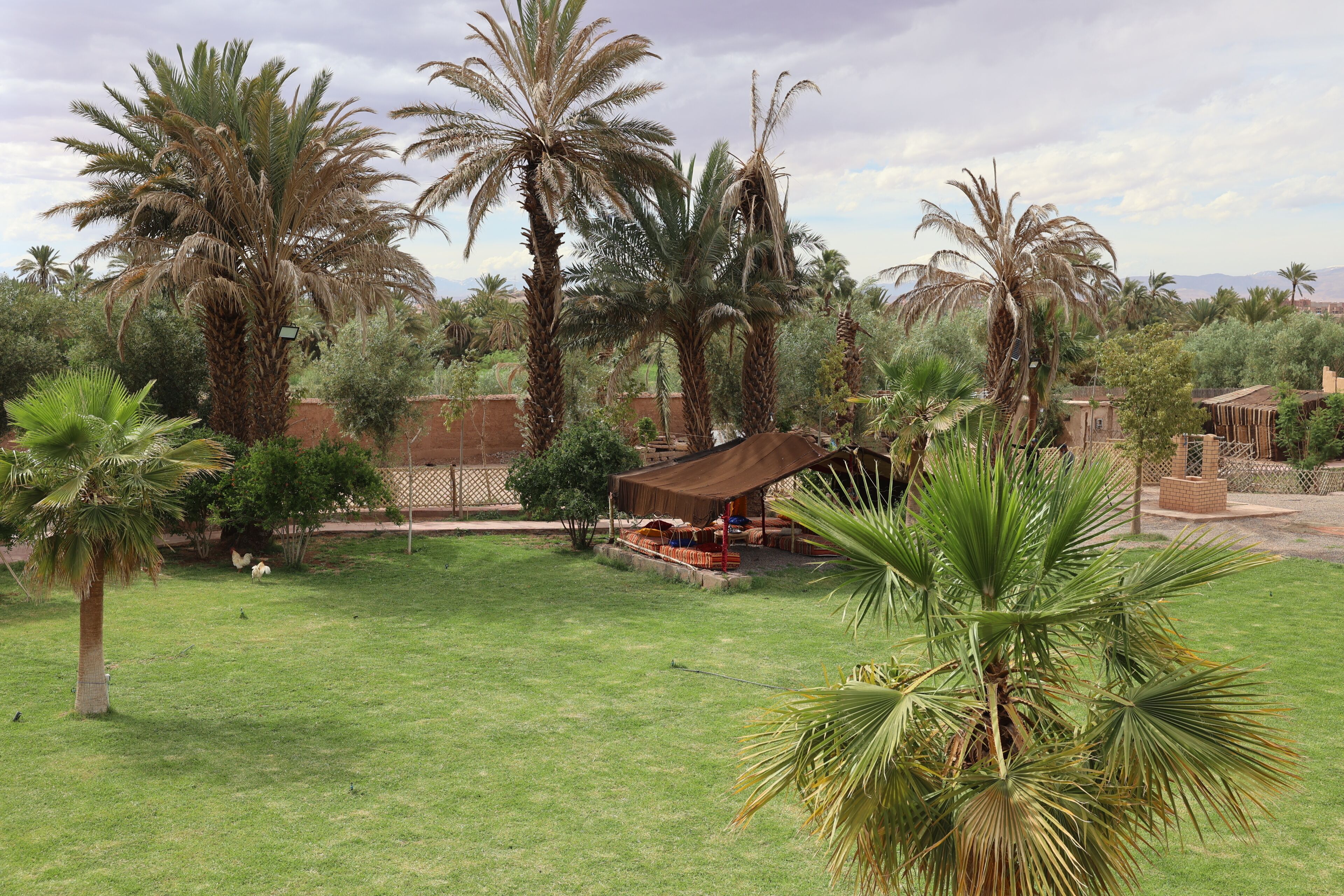 Zona verde con palmeras y un espacio de descanso techado.