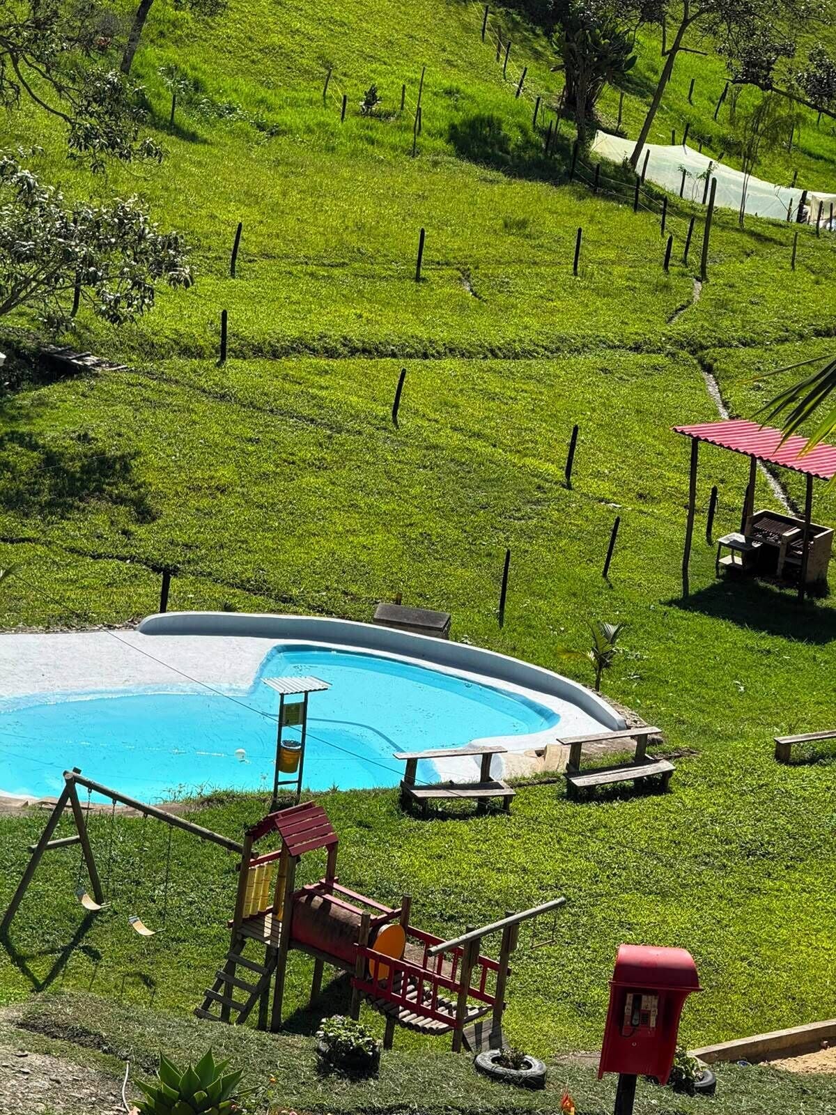 Un patio trasero residencial con piscina, un muelle de madera y un buzón rojo.