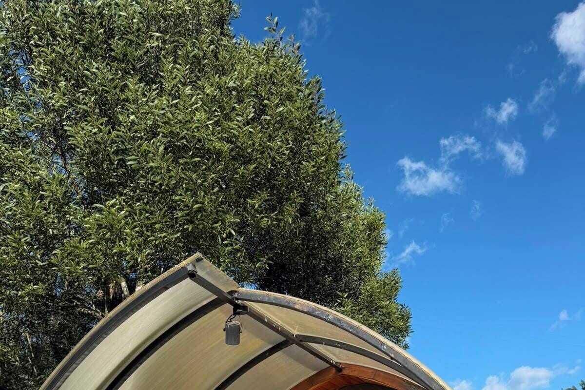 Cabin, 1 Queen Bed, Pets Allowed, Mountain View | Property grounds