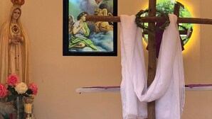 Ảnh chưa phân loại, 4 trong số 47 ảnh, nút