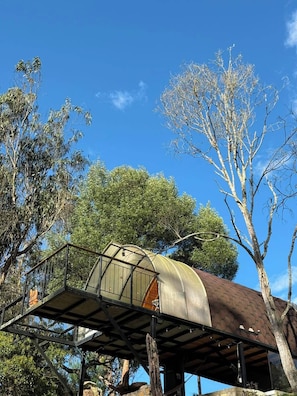 Cabana, 1 cama Queen, aceita animais de estimação, vista para a montanha | Fachada
