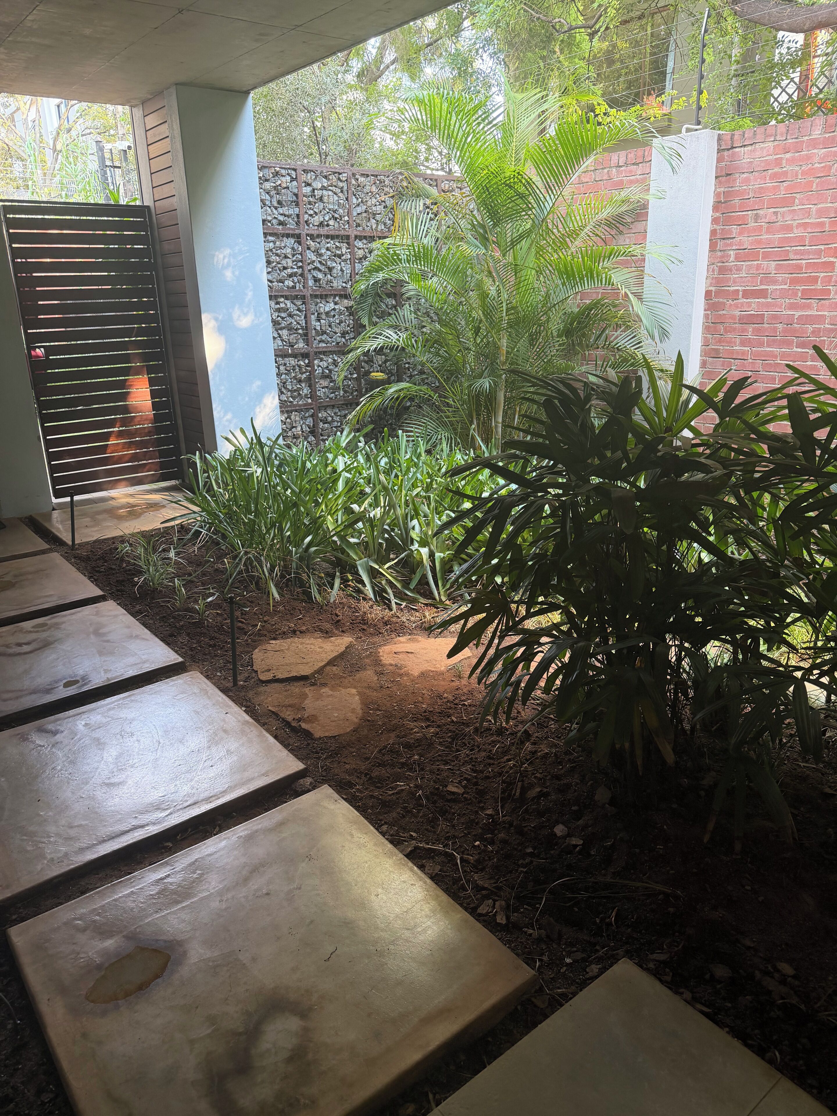 Un espace jardin aménagé avec un chemin pavé, un mur en pierre et diverses plantes.