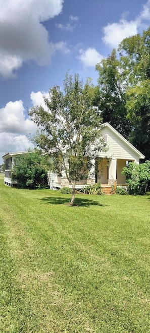 Exteriör