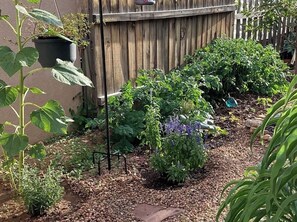 Ein Garten mit verschiedenen Pflanzen und einem Holzzaun.