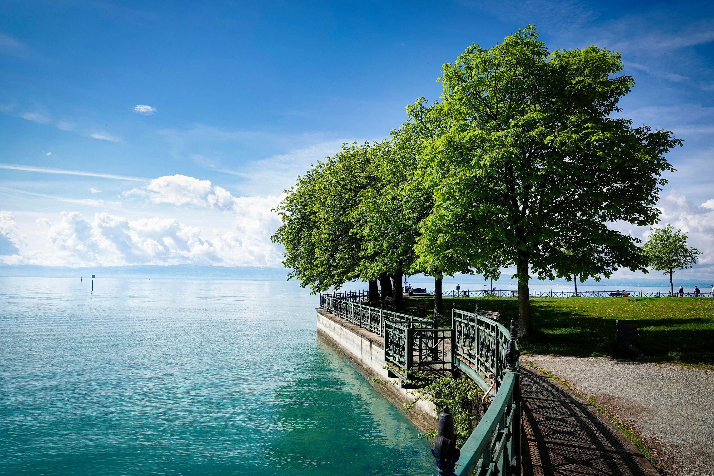 A waterfront promenade with a metal railing, trees, and a clear view of the water.
