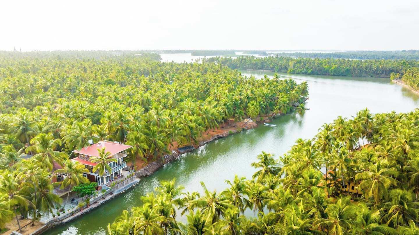 A coastal property with a waterway, surrounded by dense palm trees.
