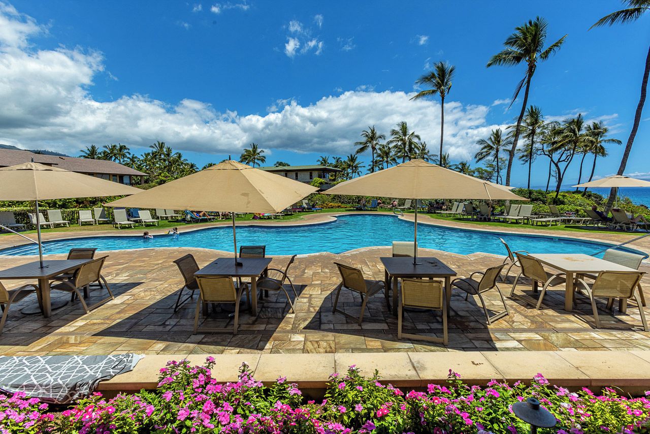 A poolside area with lounge chairs and umbrellas, surrounded by palm trees and a clear sky.