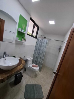 Ein Badezimmer mit Waschbecken, Toilette, Dusche und einer kleinen Stufe zum Duschbereich.