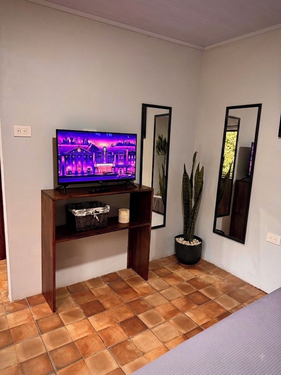 Ett rum med en tv på ett träställ, en krukväxt och två speglar på väggen.