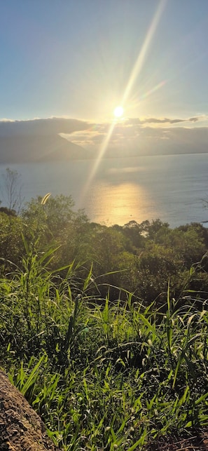 Habitació econòmica, vistes al jardí | Altres