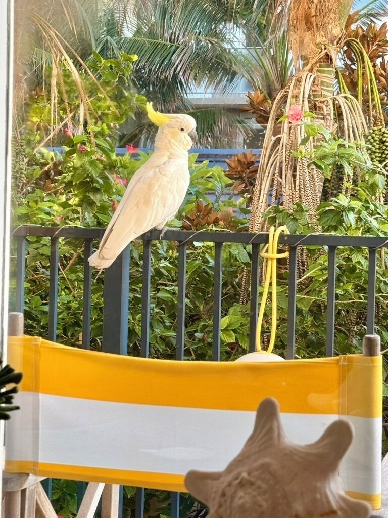 住宿场地