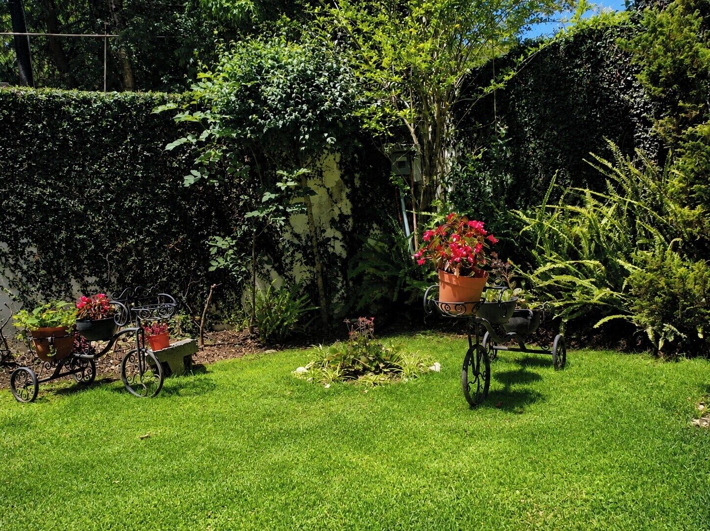 Un jardín con césped, plantas en macetas y una bicicleta.
