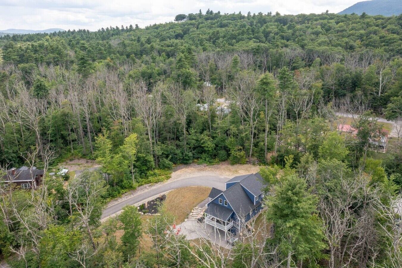 A residential area with a house surrounded by dense forest, a driveway, and a small parking area.