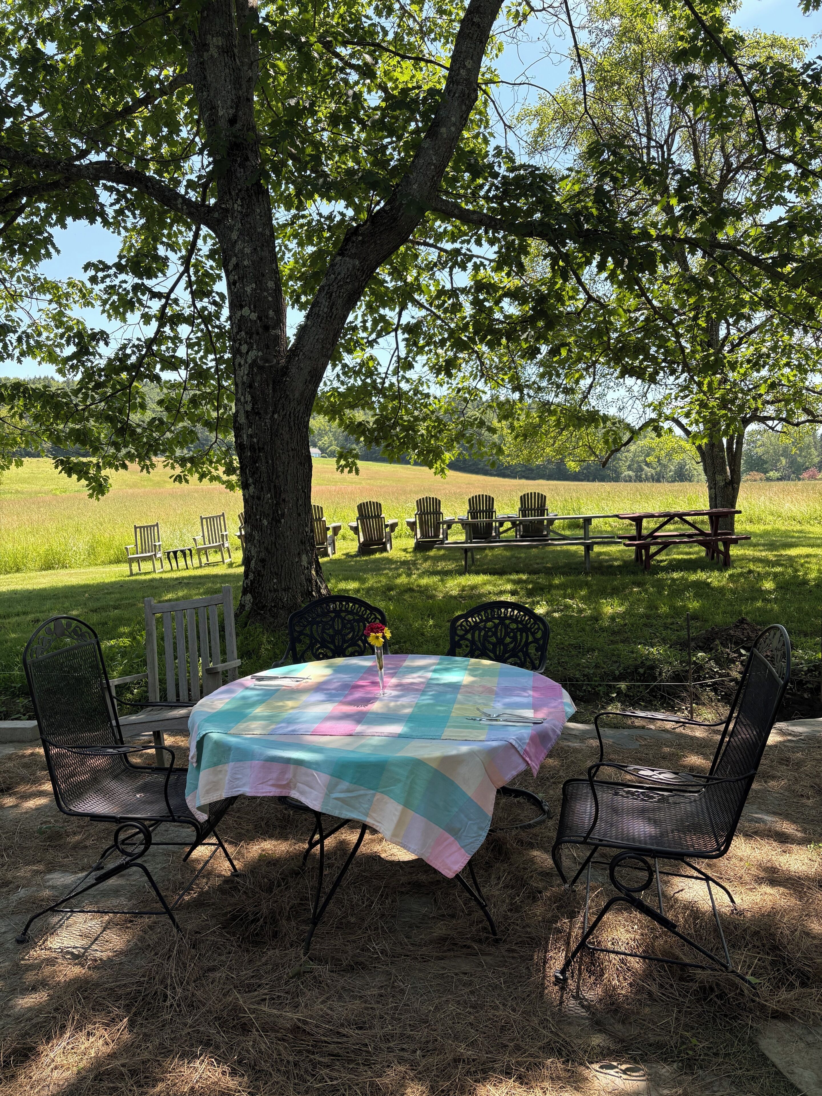 Outdoor dining