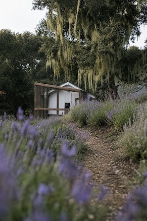 Property grounds - Soothing 2-bedroom cottage in marvelous Carmel getaway (Carmel)
