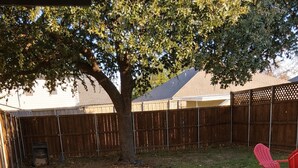 House - Spacious Home With Putting Green and Game Room (Carrollton)