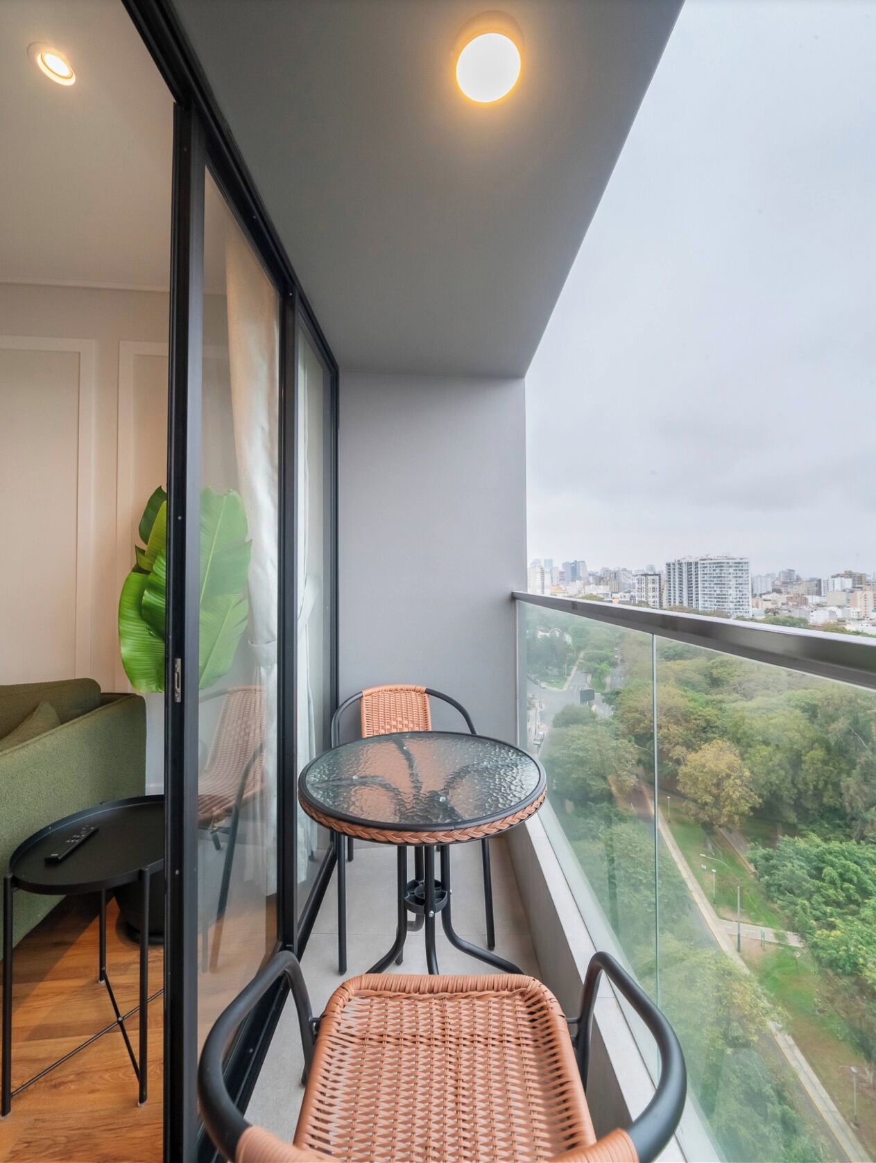 Apartment, City View | Balcony