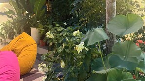 Un edificio moderno con fachada de vidrio, rodeado de abundante vegetación y diversas plantas.