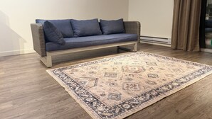 A room with a grey sofa, a patterned rug, wooden flooring, and a window with curtains.