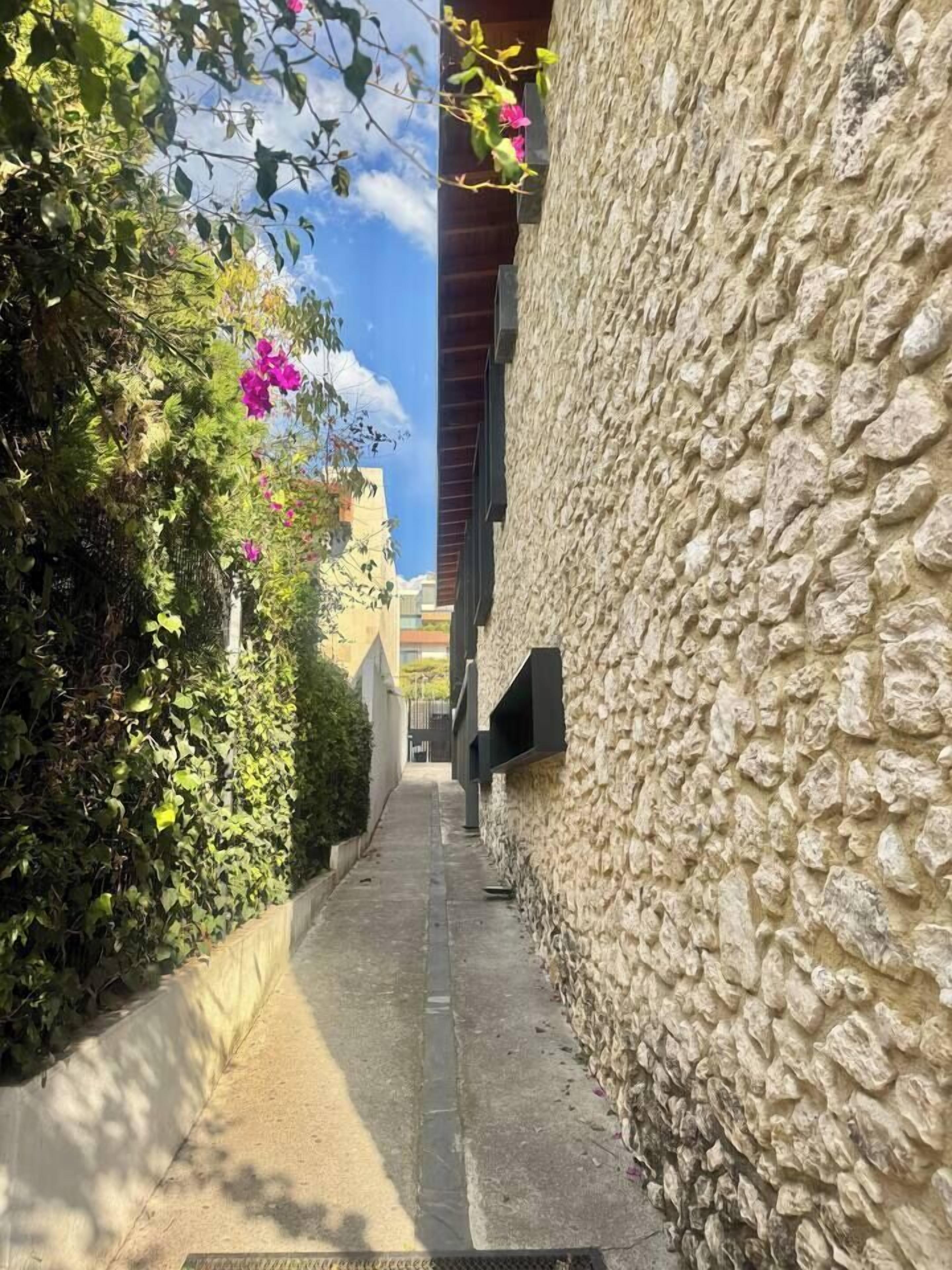 A narrow alleyway with a stone wall on one side and a hedge with flowers on the other.