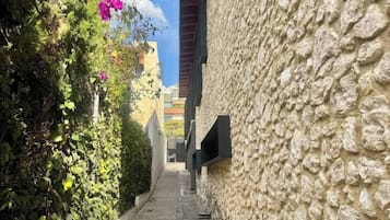 A narrow alleyway with a stone wall on one side and a hedge with flowers on the other.