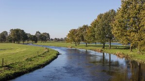 Ein Fluss fließt durch eine grüne Landschaft, gesäumt von Bäumen.