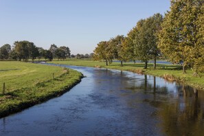 Ein Fluss fließt durch eine grüne Landschaft, gesäumt von Bäumen.