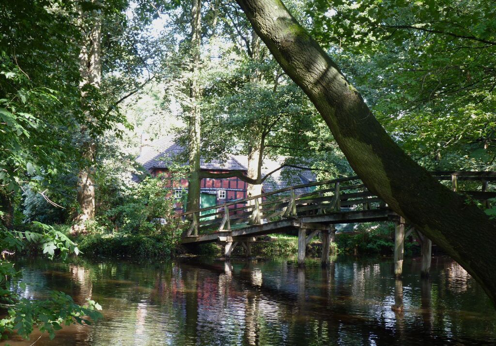 Un puente de madera sobre un río tranquilo, rodeado de exuberante vegetación y árboles.
