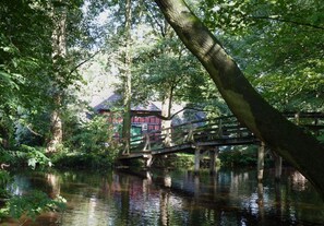 Eine Holzbrücke über einem ruhigen Fluss, umgeben von üppiger Vegetation und Bäumen.