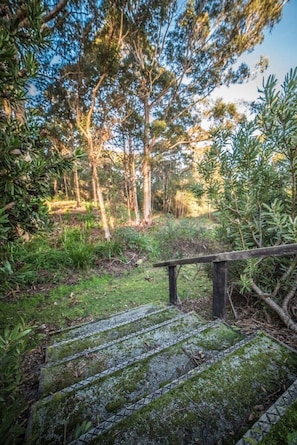A wooden staircase leading up to a forested area with a metal railing.